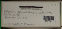 Image Associated With the Occurence